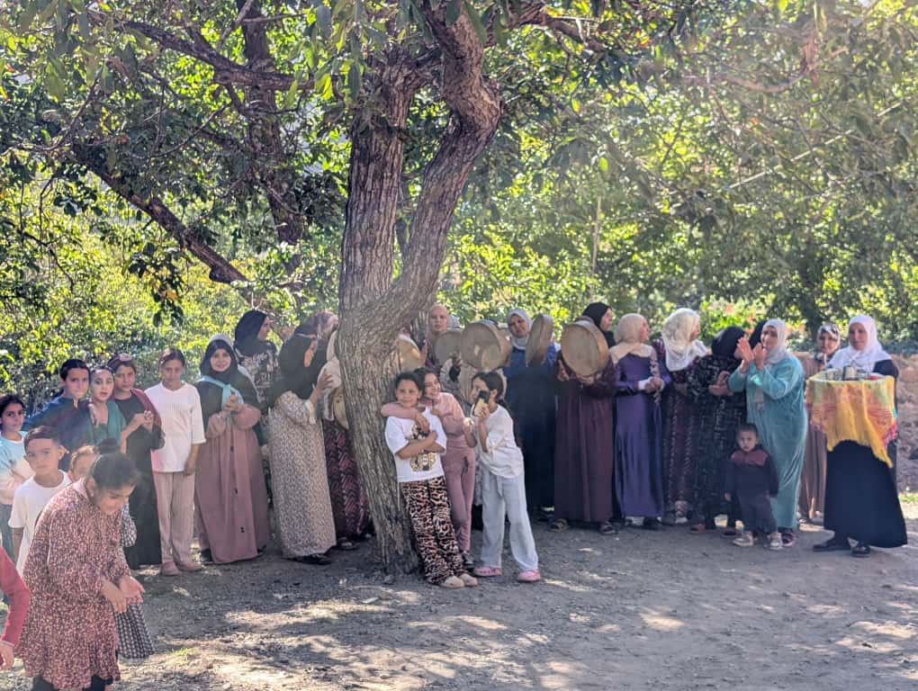 Click here to learn more about the project